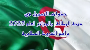 الوكالة توضح.. خطوات وشروط التسجيل في منحة البطالة 2025 لأول مرة 1